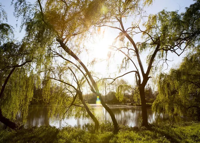 Kemp Maeva Respire La Comtesse